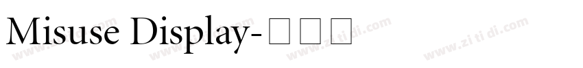 Misuse Display字体转换